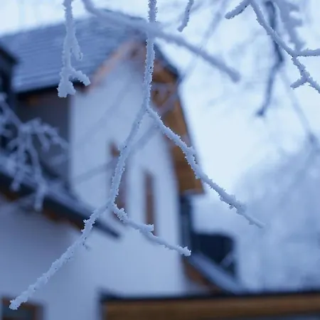 Rekovice Guest house *