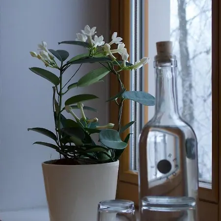 Rekovice *
